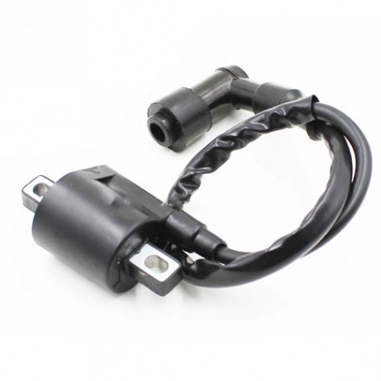 PIT BIKE IGNITION COIL TWIN EARTH