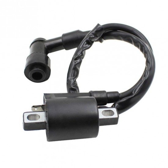 PIT BIKE IGNITION COIL TWIN EARTH
