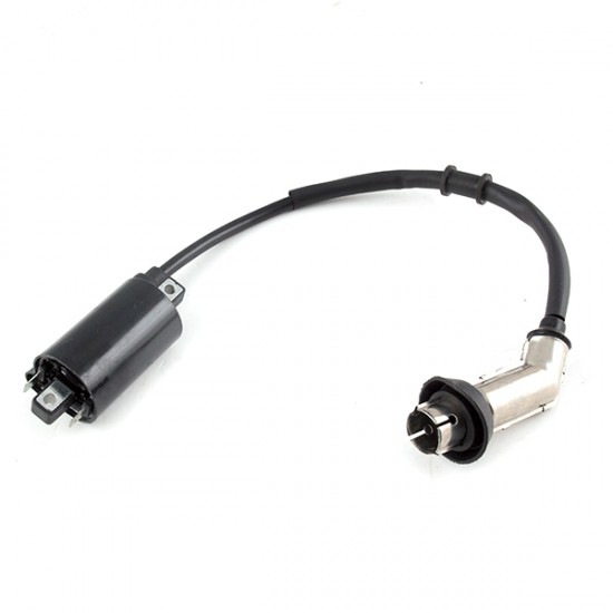 LEXMOTO ISCA 125 [SK125-L] IGNITION COIL