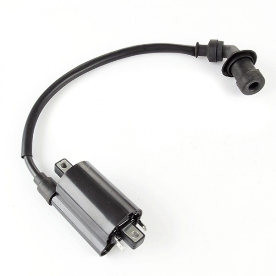 LEXMOTO ENIGMA 125 [ZS125T-48] IGNITION COIL