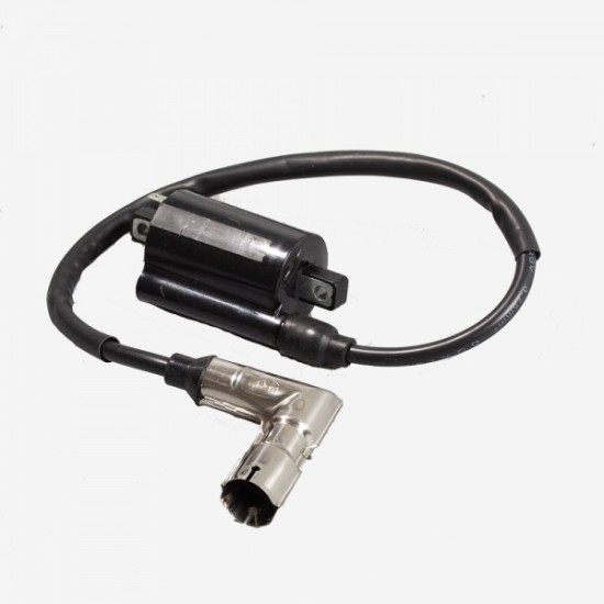 LEXMOTO LOWRIDE 125 [DFE125L]IGNITION COIL