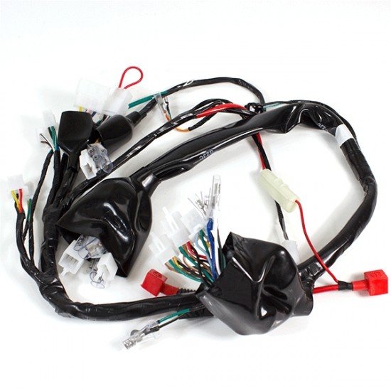 LEXMOTO ZSA 125 [FT125-17C] WIRING LOOM Non DRL